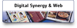 Digital Synergy & Web